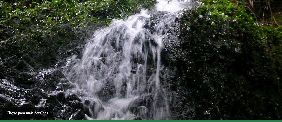 Clique para mais detalhes | Cachoeiras dos Colibris