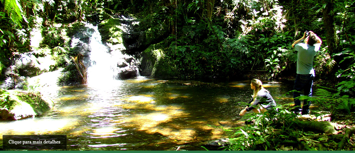 Paraíso Eco Lodge | Cachoeiras do Paraiso